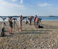 ornitologové / birders, 05 Sep 2024, nádrž (dam) Rozkoš, East Bohemia @L. Schröpfer