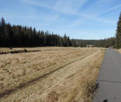 Modrava, Šumava / Bohemian Forest